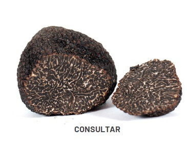 TRUFA NEGRA    (Tuber melanosporum vitt) consultar